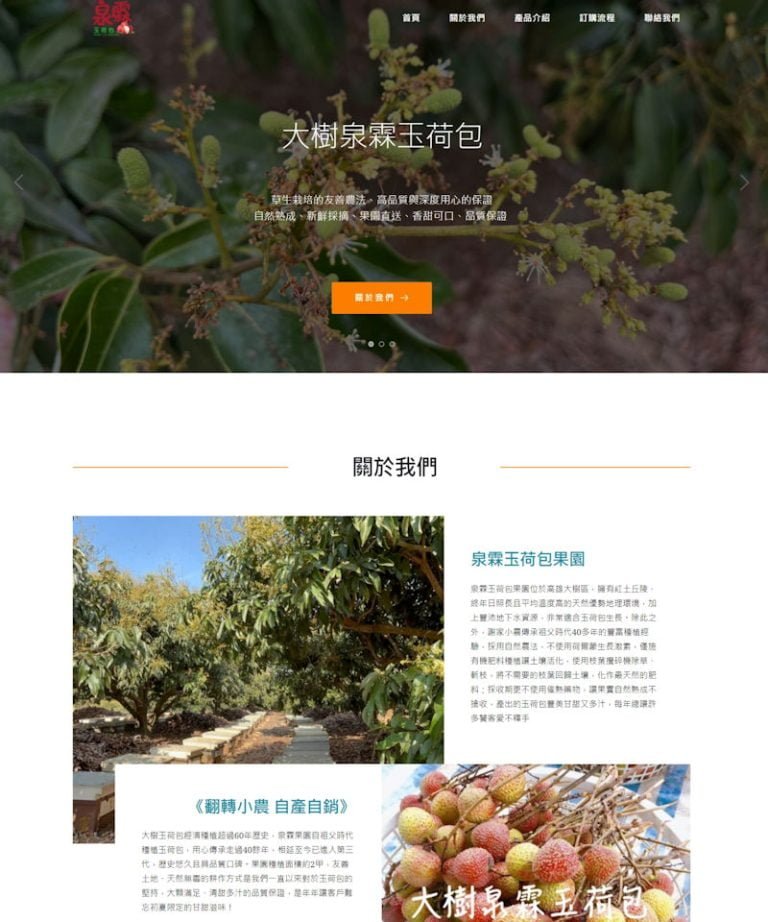 網頁設計-荔枝禮盒
